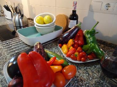 Appartement de vacances /en/au Hospitalet Del Infant (Tarragona)ou appartement ou maison de vacances