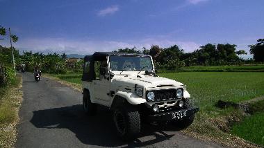 Villa �/en/au Dencarik (Bali)ou appartement ou maison de vacances