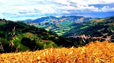 Maison de vacances �/en/au cepagatti (Pescara)ou appartement ou maison de vacances