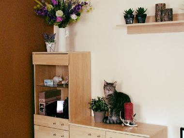 Appartement de vacances /en/au Falkenstein (Oberpfalz)ou appartement ou maison de vacances