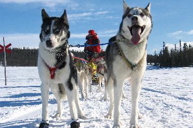 Maison de vacances �/en/au Svenstavik-Gal�bodarna (J�mtland)ou appartement ou maison de vacances