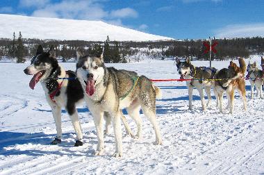 Maison de vacances �/en/au Svenstavik-Gal�bodarna (J�mtland)ou appartement ou maison de vacances