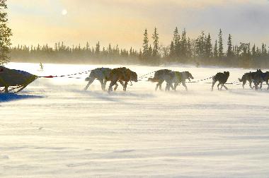 Maison de vacances �/en/au Svenstavik-Gal�bodarna (J�mtland)ou appartement ou maison de vacances