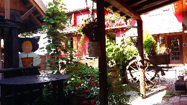 Maison de vacances �/en/au olwisheim (Bas-Rhin)ou appartement ou maison de vacances