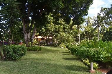 Chambre avec petit d�jeuner �/en/au Salvador de Bahia / Abrantes (Bahia)ou appartement ou maison de vacances