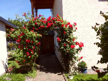 Appartement de vacances /en/au Beverungen (Weserbergland)ou appartement ou maison de vacances