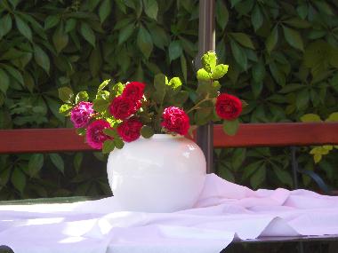 Appartement de vacances �/en/au Rheinsberg (Ostprignitz-Ruppin)ou appartement ou maison de vacances