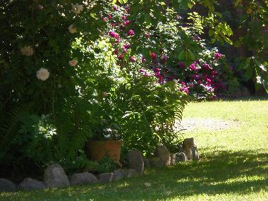 Appartement de vacances �/en/au Rheinsberg (Ostprignitz-Ruppin)ou appartement ou maison de vacances