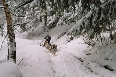 Maison de vacances /en/au St Agnan en Vercors (Drme)ou appartement ou maison de vacances