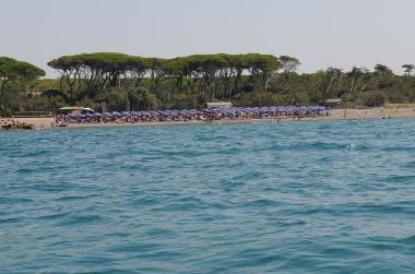 Maison de vacances /en/au Marina di Cecina (Livorno)ou appartement ou maison de vacances