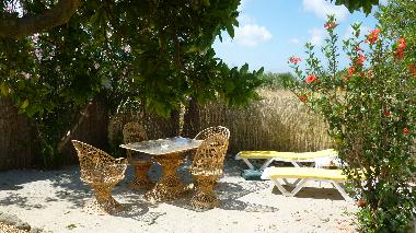 Maison de vacances /en/au foros da pereira (Alentejo Litoral)ou appartement ou maison de vacances