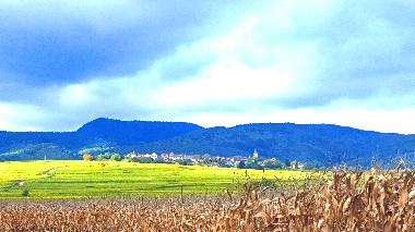 Maison de vacances �/en/au olwisheim (Bas-Rhin)ou appartement ou maison de vacances