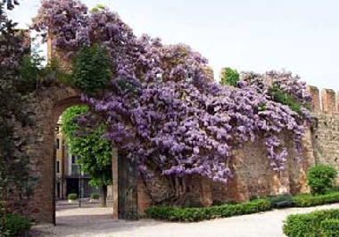 Maison de vacances /en/au Baone (Padova)ou appartement ou maison de vacances