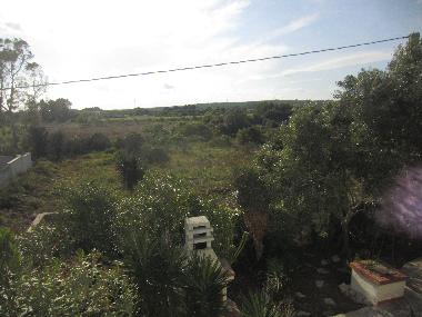 Maison de vacances �/en/au San Pietro in Bevagna (Taranto)ou appartement ou maison de vacances