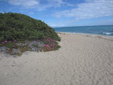 Maison de vacances �/en/au San Pietro in Bevagna (Taranto)ou appartement ou maison de vacances