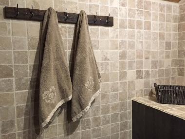 Chalet �/en/au Thollon-les-M�mises (Haute-Savoie)ou appartement ou maison de vacances