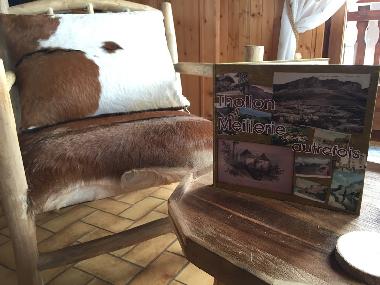 Chalet �/en/au Thollon-les-M�mises (Haute-Savoie)ou appartement ou maison de vacances