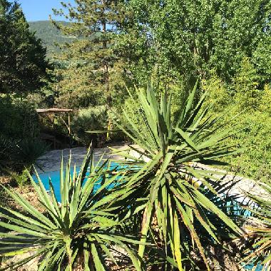 Villa /en/au Poujols (Hrault)ou appartement ou maison de vacances