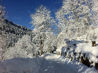 Appartement de vacances �/en/au Alpirsbach (Schwarzwald)ou appartement ou maison de vacances