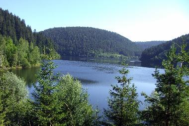 Appartement de vacances /en/au Alpirsbach (Schwarzwald)ou appartement ou maison de vacances