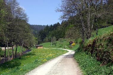 Appartement de vacances /en/au Alpirsbach (Schwarzwald)ou appartement ou maison de vacances