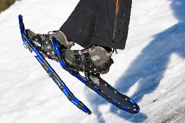 Appartement de vacances /en/au Millstatt (Oberkrnten)ou appartement ou maison de vacances