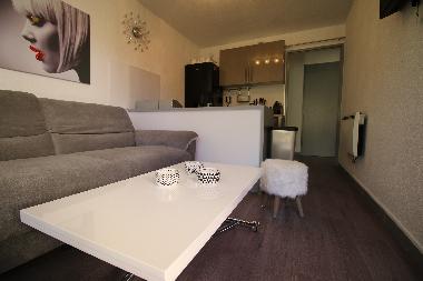 Appartement de vacances /en/au Saint Cyprien (Pyrnes-Orientales)ou appartement ou maison de vacances