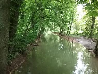 Palais / Chteau /en/au Naix-aux-Forges (Meuse)ou appartement ou maison de vacances