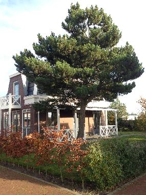 Maison de vacances /en/au Noordwijk (Zuid-Holland)ou appartement ou maison de vacances