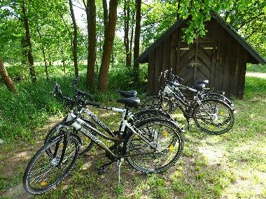Maison de vacances /en/au Burg / Spreewald (Spree-Neie)ou appartement ou maison de vacances