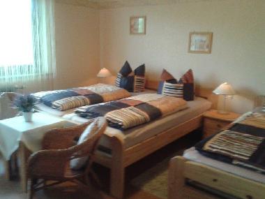 Appartement de vacances /en/au Vhl-Kirchlotheim (Waldecker Land)ou appartement ou maison de vacances