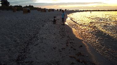 Appartement de vacances �/en/au Sch�nberg (Ostsee-Festland)ou appartement ou maison de vacances