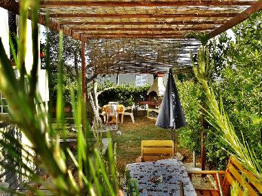 Appartement de vacances /en/au Petrcane,Zadar (Zadarska)ou appartement ou maison de vacances