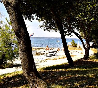 Appartement de vacances /en/au Petrcane,Zadar (Zadarska)ou appartement ou maison de vacances