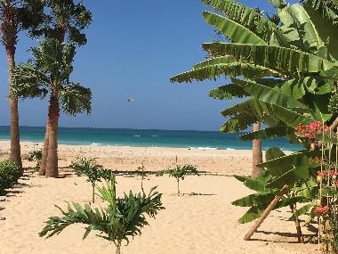 Maison de vacances �/en/au Boa Vista (Boa Vista)ou appartement ou maison de vacances
