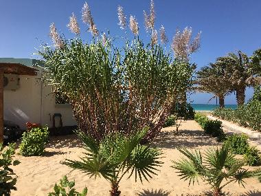 Maison de vacances �/en/au Boa Vista (Boa Vista)ou appartement ou maison de vacances