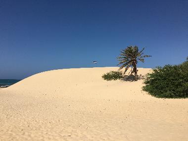 Maison de vacances �/en/au Boa Vista (Boa Vista)ou appartement ou maison de vacances