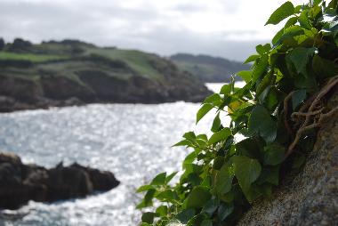 Maison de vacances �/en/au Ploz�vet (Finist�re)ou appartement ou maison de vacances