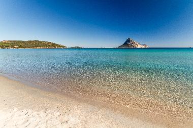 Maison de vacances /en/au Porto Taverna (Sassari)ou appartement ou maison de vacances