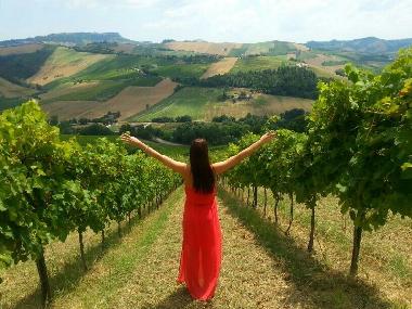 Appartement de vacances /en/au Montefiore dell