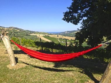 Maison de vacances �/en/au Montefiore dell