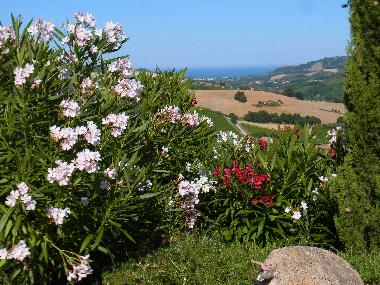 Maison de vacances �/en/au Montefiore dell