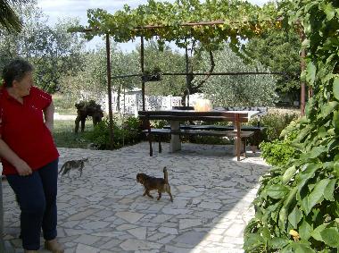 Maison de vacances /en/au Sv. Lovrec (Istarska)ou appartement ou maison de vacances