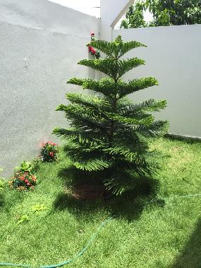 Appartement de vacances �/en/au Avepozo Plage (Lome)ou appartement ou maison de vacances