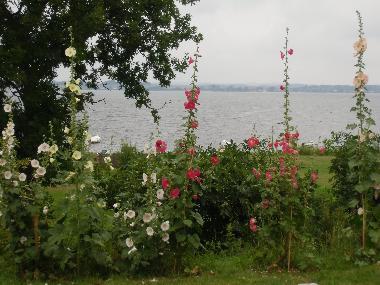 Maison de vacances /en/au Gager (Ostsee-Inseln)ou appartement ou maison de vacances