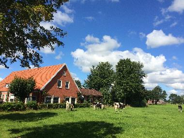 Villa �/en/au Backemoor (Nordsee-Festland / Ostfriesland)ou appartement ou maison de vacances