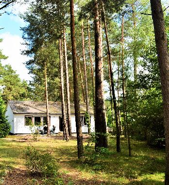 Appartement de vacances /en/au Rheinsberg, OT Kagar (Ostprignitz-Ruppin)ou appartement ou maison de vacances