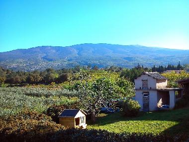 vue du jardin sur le ventoux