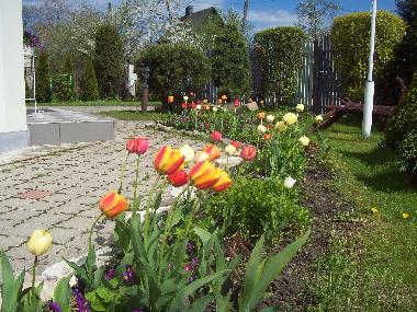 Appartement de vacances �/en/au Jurmala (Lettland)ou appartement ou maison de vacances