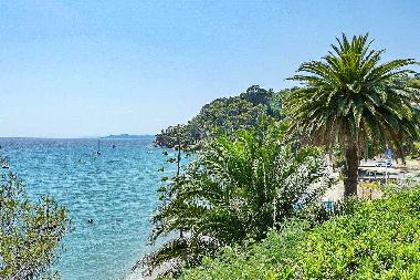 Maison de vacances �/en/au Le Rayol-Canadel (Var)ou appartement ou maison de vacances